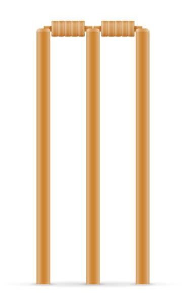 28 Inch Brown Timber Cricket Stumps for Practice & Match Play